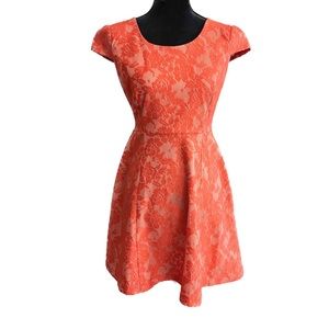 ENFOCUS STUDIO Size 4 Orange Lace Mini Dress